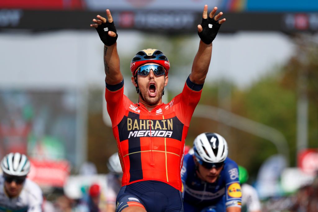 Colbrelli celebrates victory
