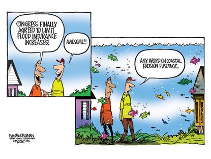 Editorial cartoon Congress flood insurance
