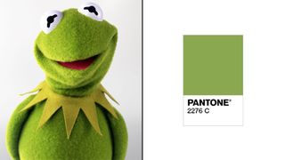 kermit the frog and a green Pantone