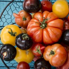 Tomatoes in a wire basket on top of blue table