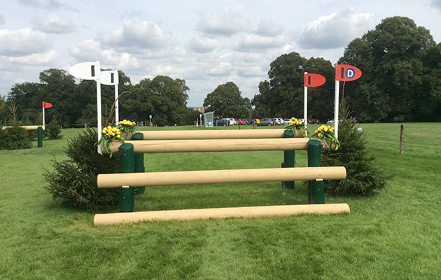 Burghley-2018-fence15D