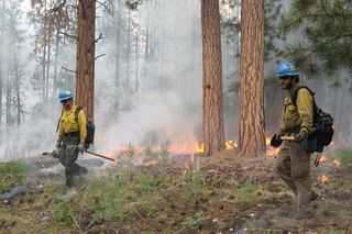 Blacklining operations in Arizona, wildfires