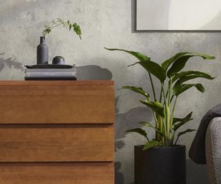 Thuma dresser with trinkets and a plant on top, set against a gray wall.