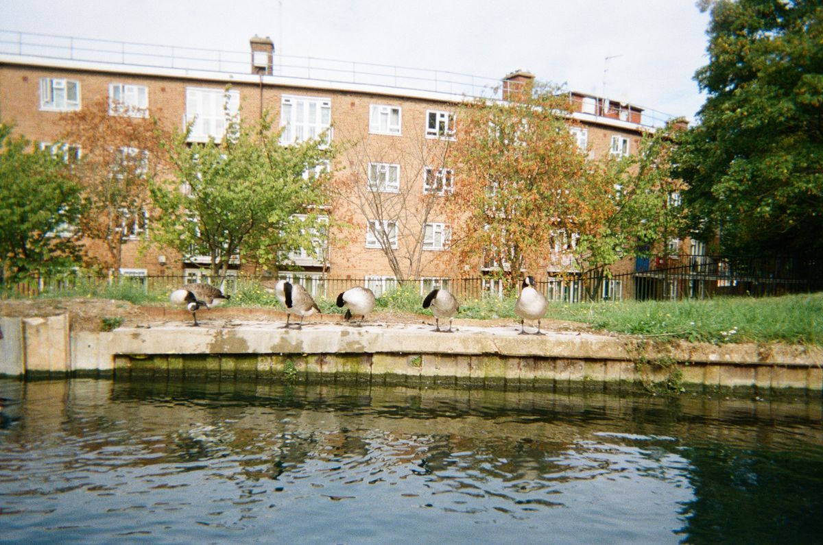 Sample photo taken with the Fujifilm QuickSnap Active