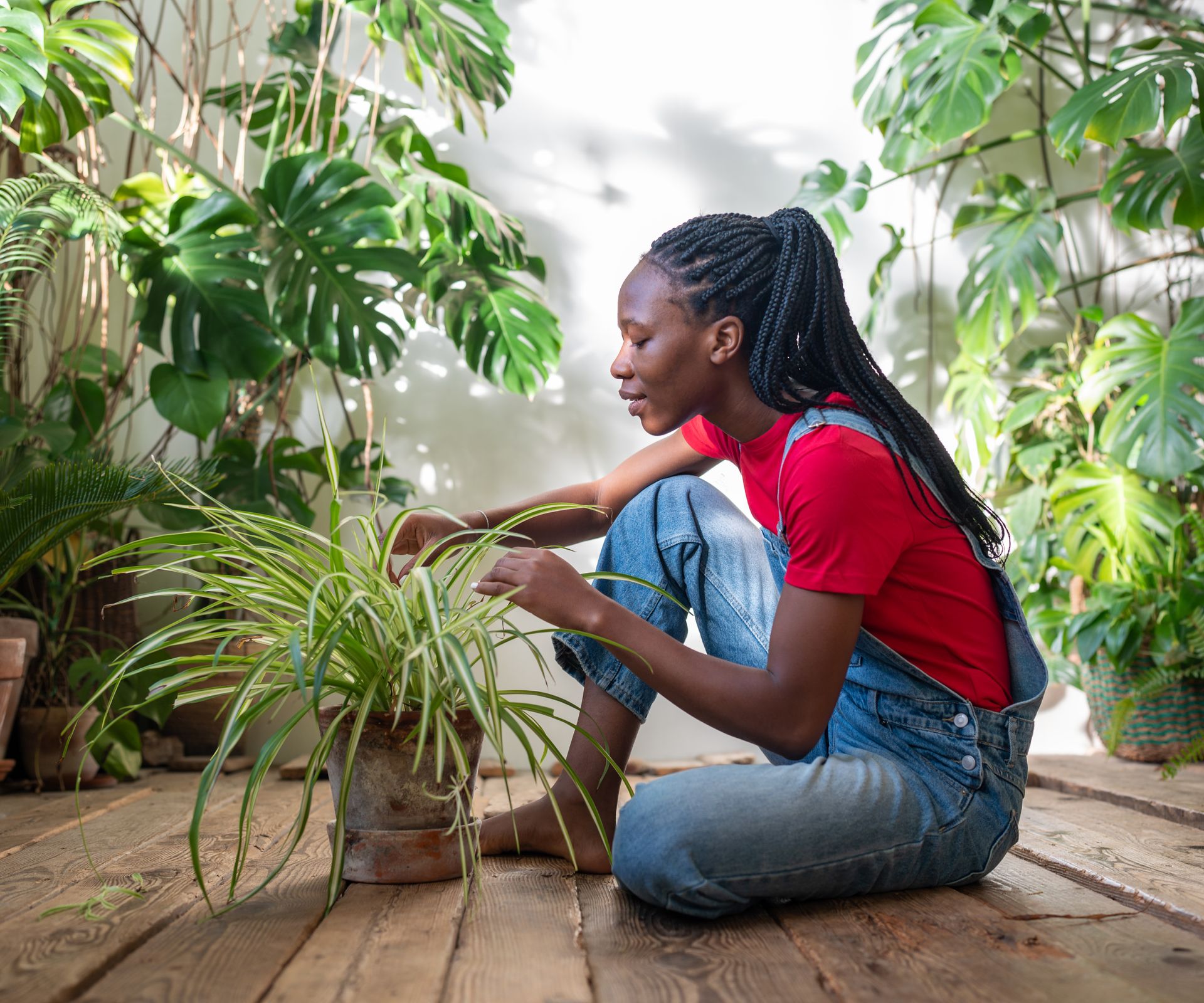 A woman sits on the floor studying a potted spider plant