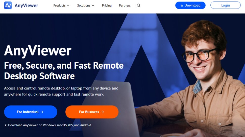 Website screenshot of AnyViewer (November, 2025)