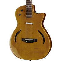 Harley Benton Hybrid Steel NT: Was £349, now £307