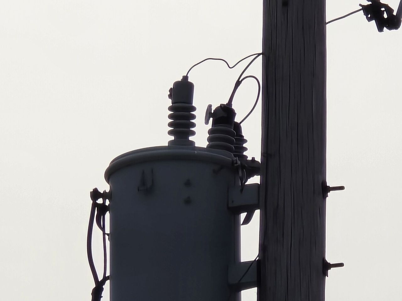 Samsung Galaxy S24 Ultra zoom sample.