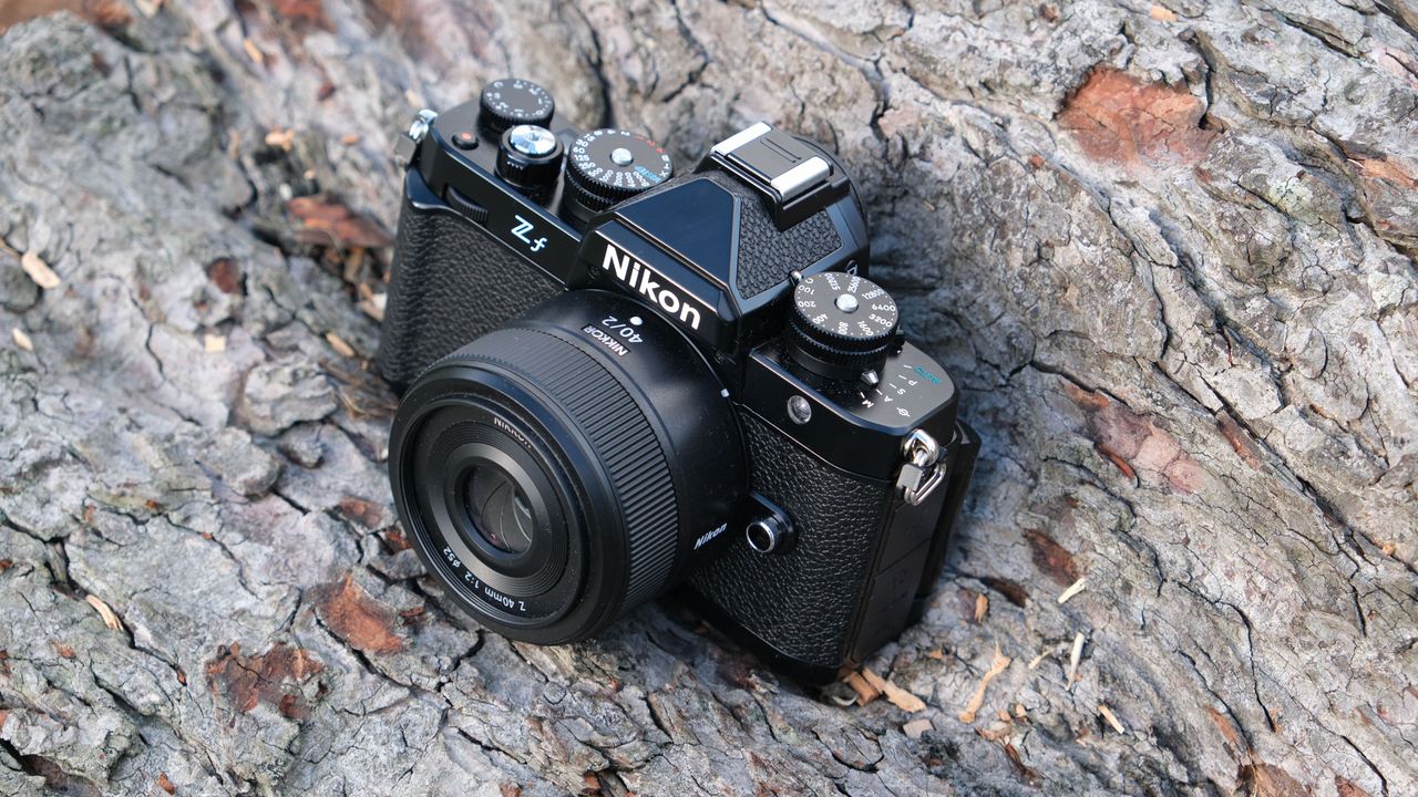 Nikon Zf camera on a tree