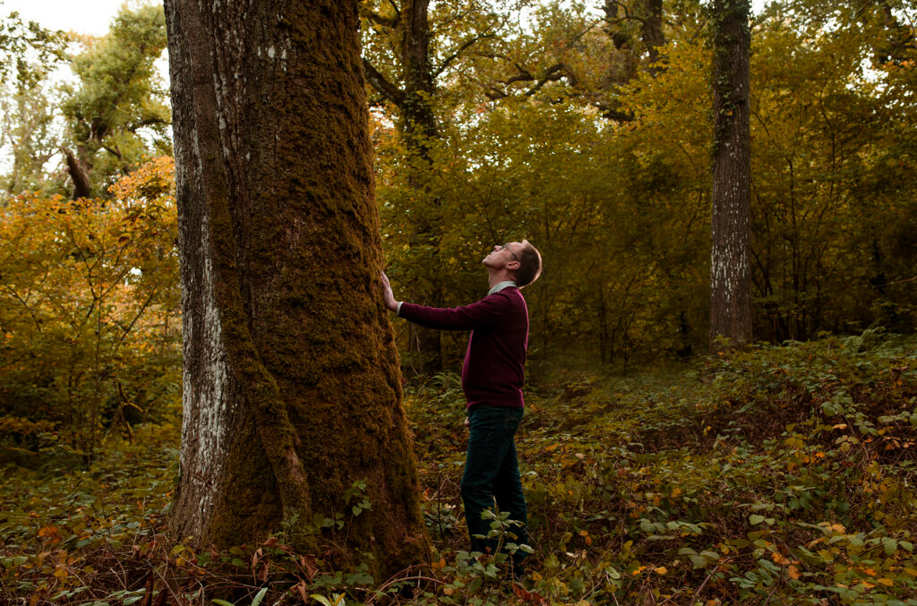 A man stands next to a large oak tree in a forest