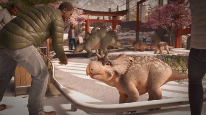 A visitor has an encounter with a baby triceratops in Jurassic World Evolution 3