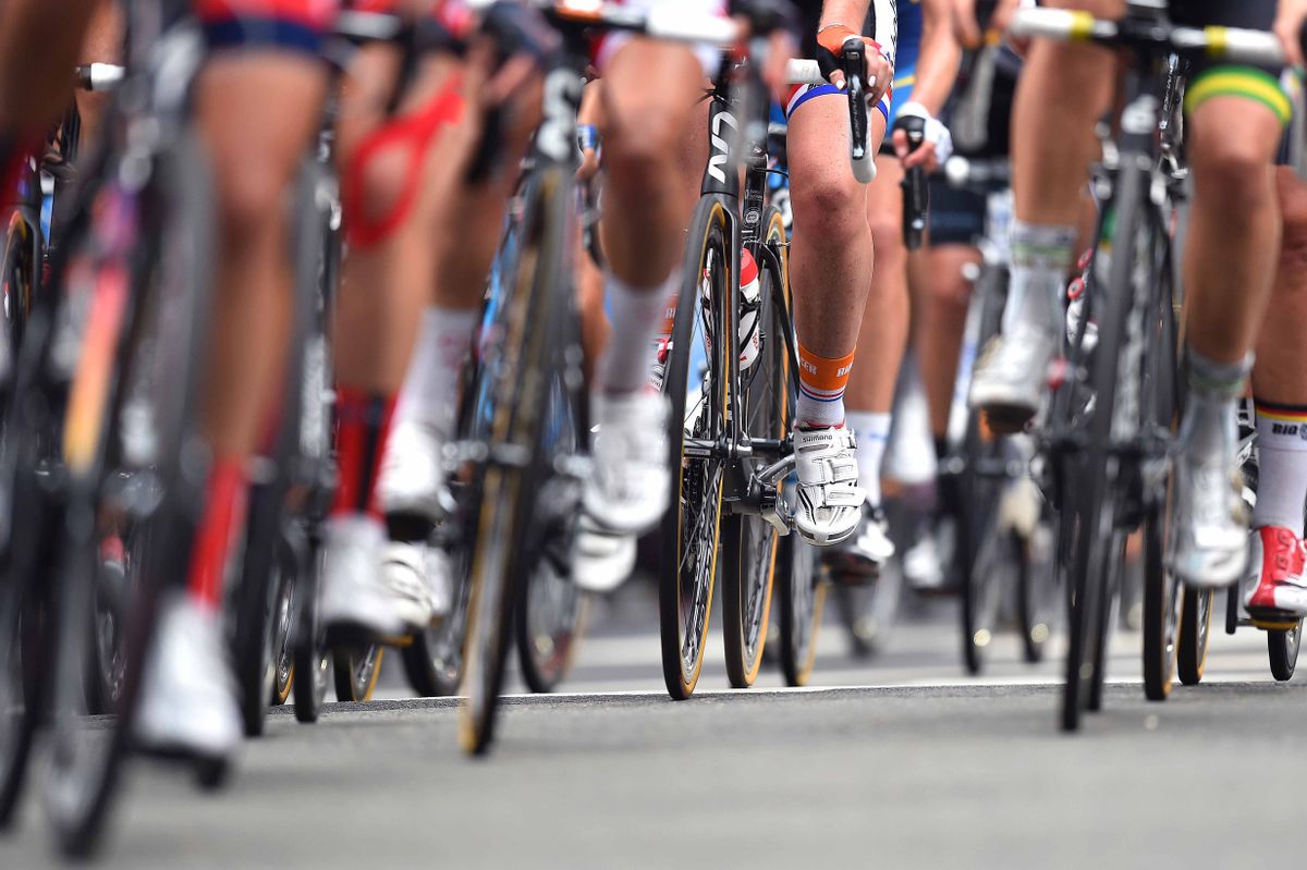 The legs of the peloton