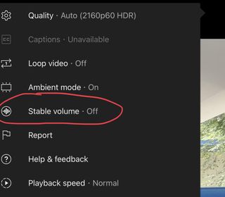 YouTube Stable Volume feature