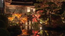 Uplighting for trees