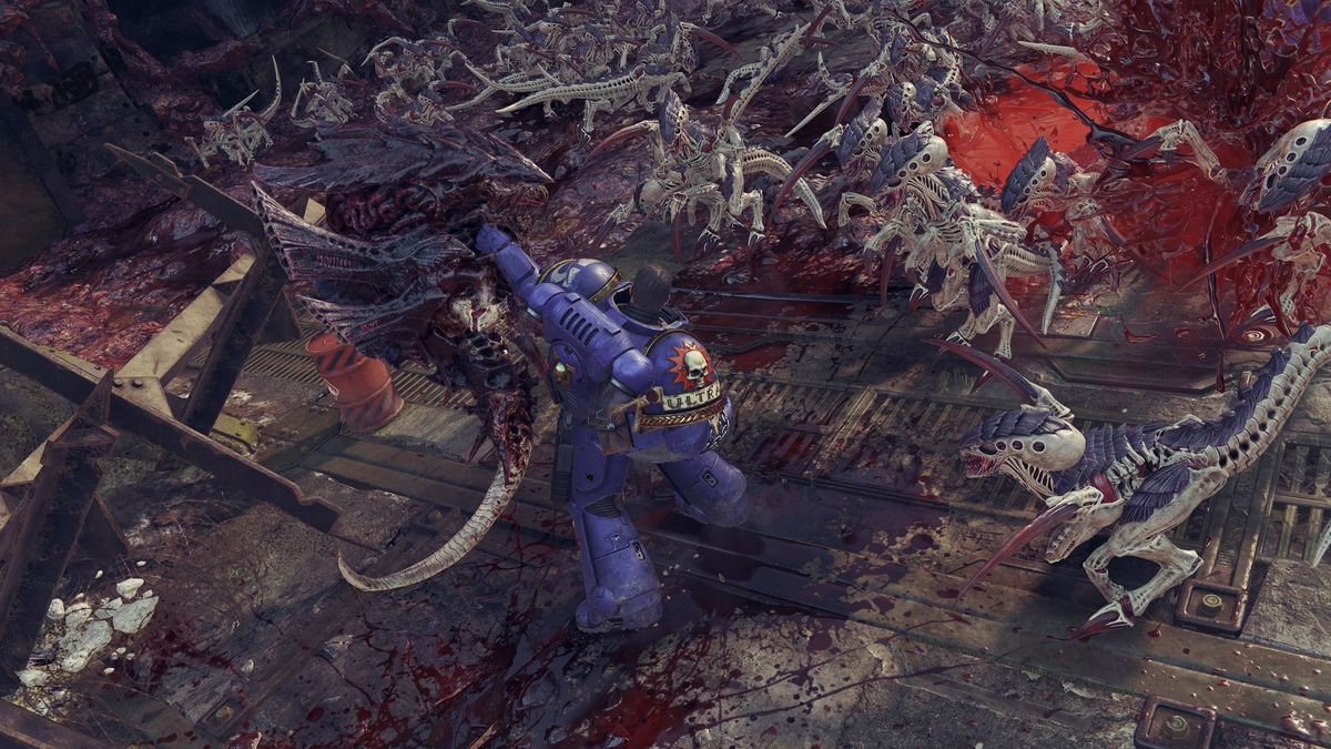 Warhammer space marine 2 данные арсенала. Warhammer space marine 2 данные арсенала
