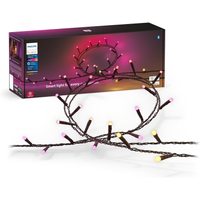 Philips Hue Festavia String Lights (500 LEDs)