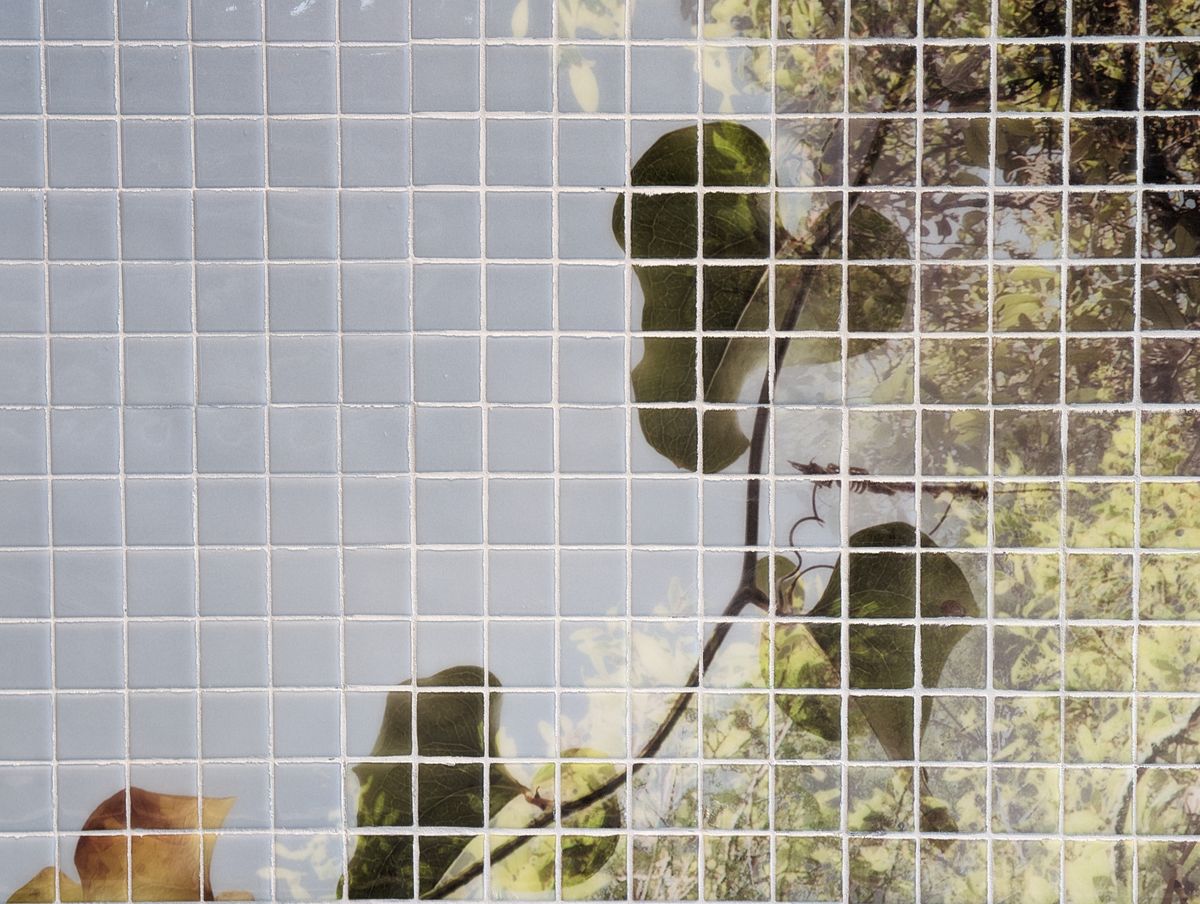 Google Pixel 8a camera sample photo of a tile mosaic with leaves