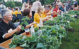 World Stinging Nettle Eating Championships