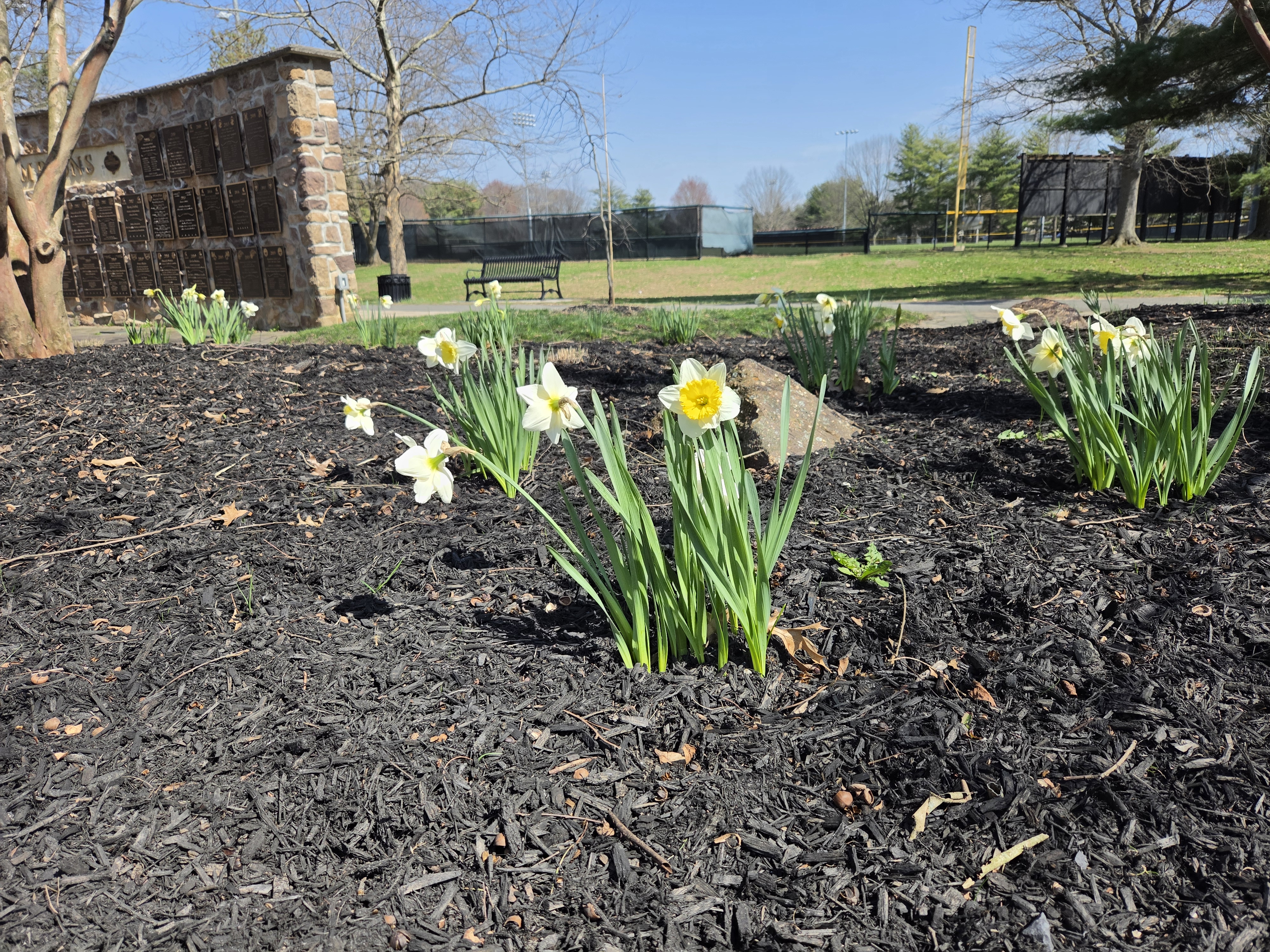 Samsung Galaxy S26 Plus camera samples