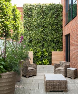 A tall garden fence with living wall of plants and rattan garden furniture on a patio below.