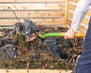 Turning compost with garden fork