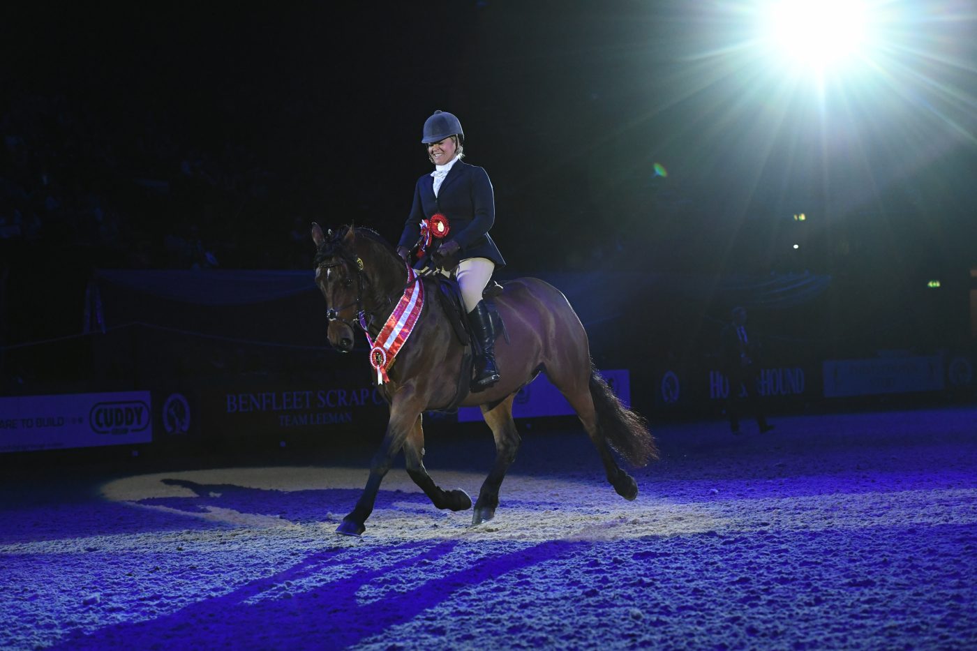 HorseNo953_HOYS_PN19_143297_348770561_587470582-e1570524316189.jpg