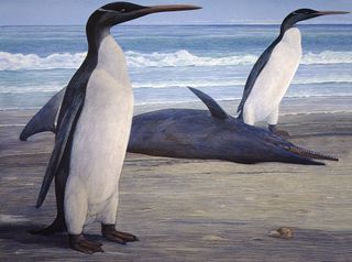 Two ancient penguins onshore.