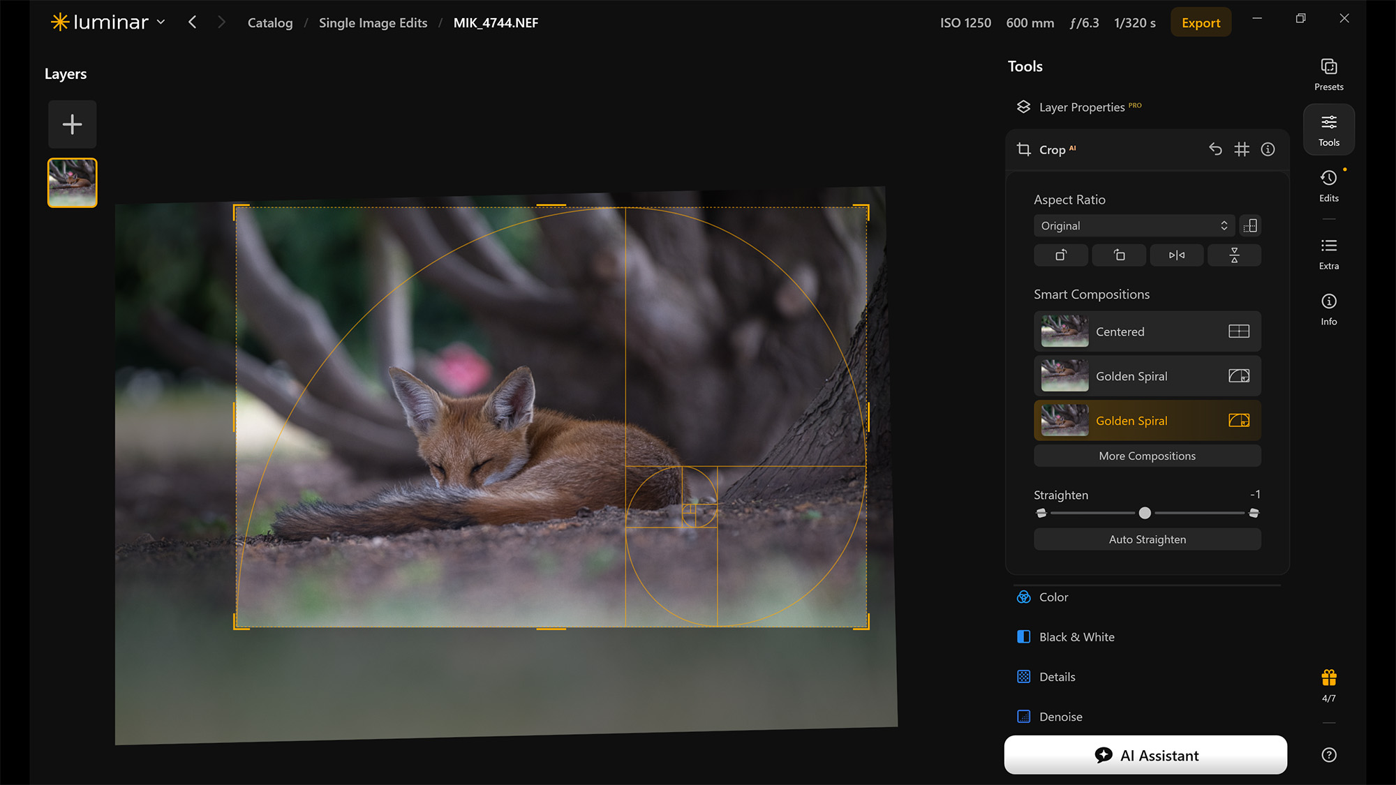 Screenshot from Luminar of Crop AI tool cropping image of fox