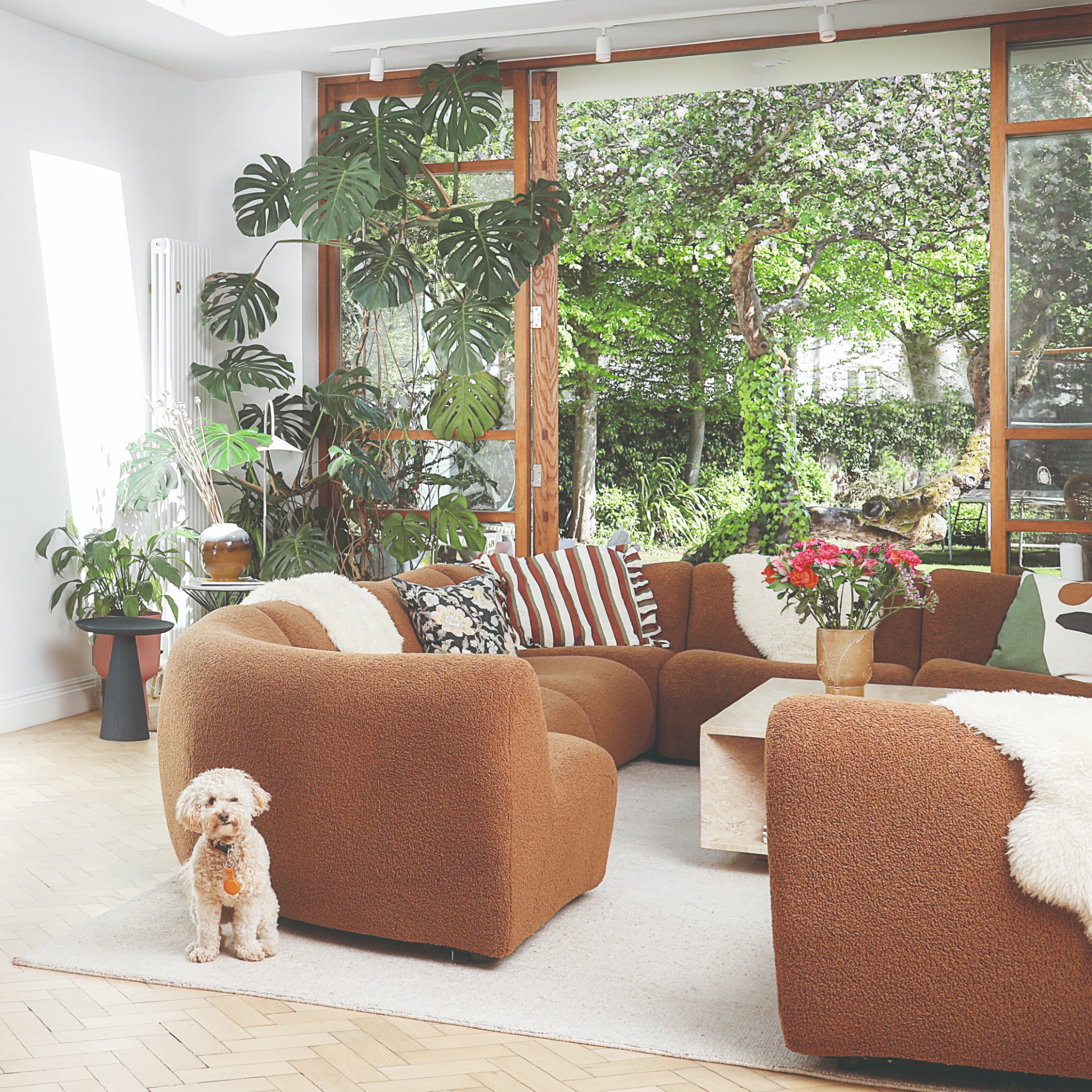 An open-plan living room with a corner modular brown 1977 sofa from King Living on a cream rug