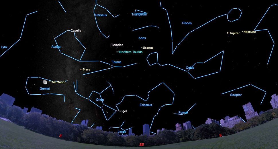 Don't miss the brilliant Taurid meteor shower next week Space