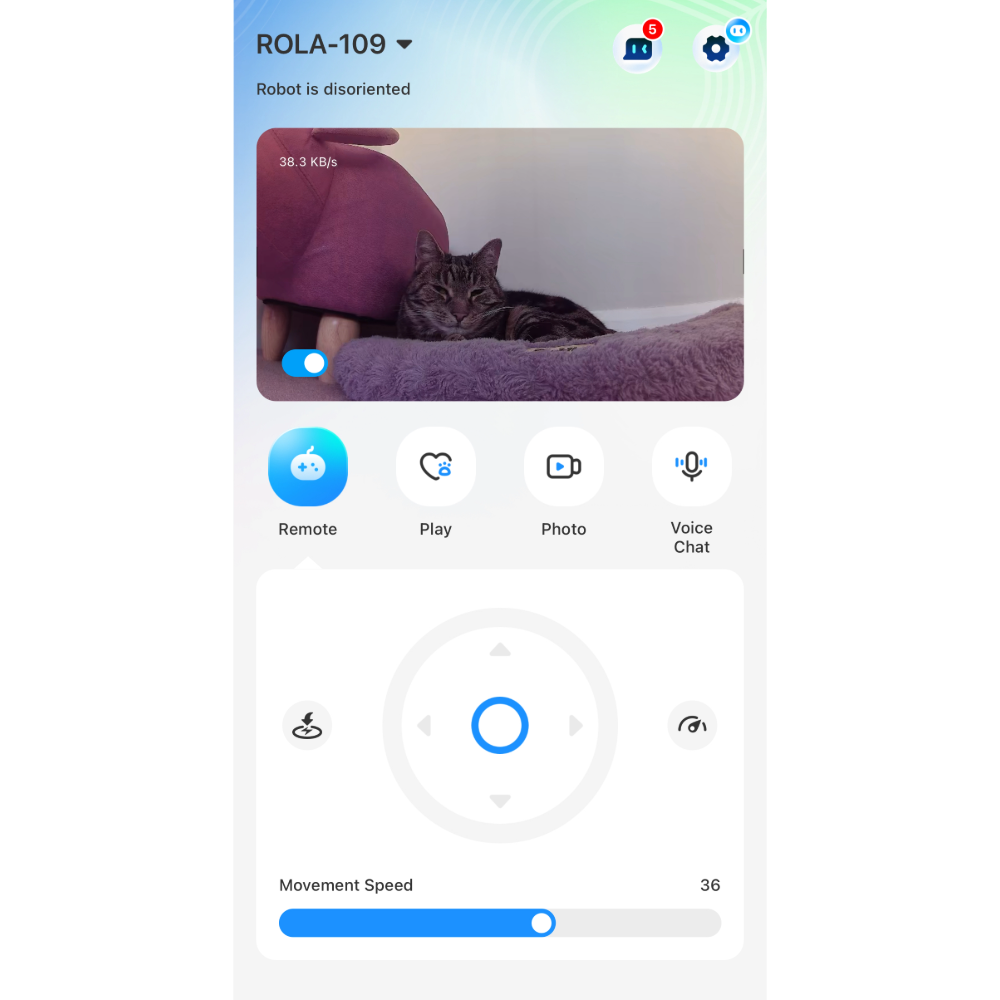 App view of the Enabot Rola PetPal, one of the best pet cameras, showing Megan's cat in her bed