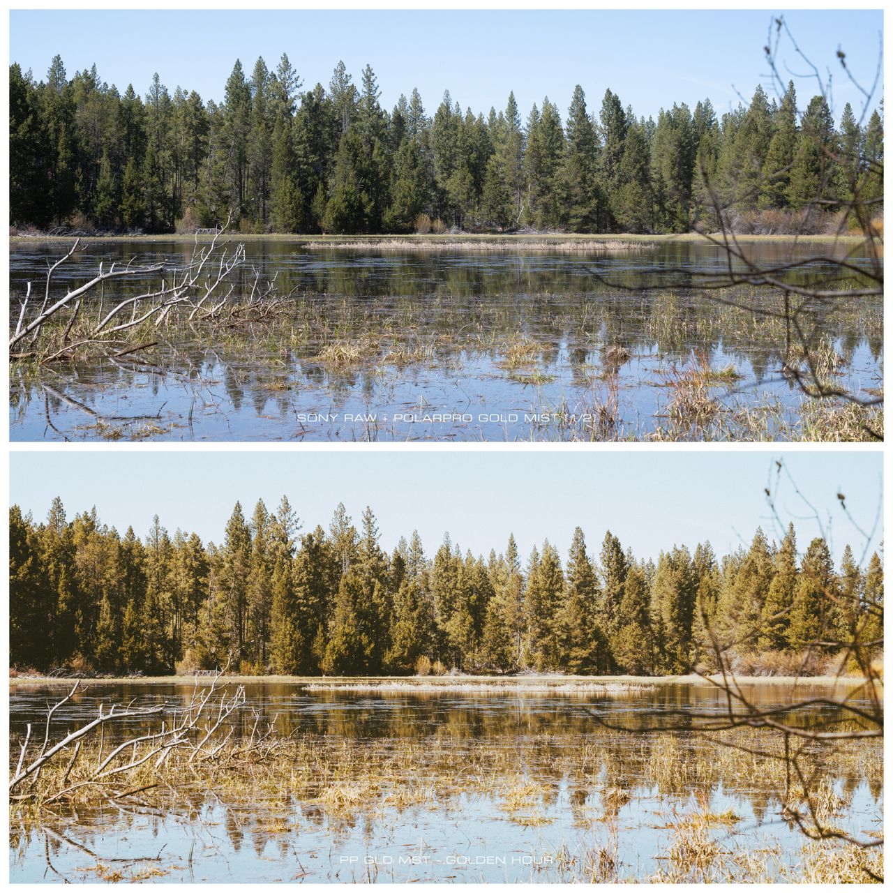 A before and after picture shows a scene with and without the editing preset applied