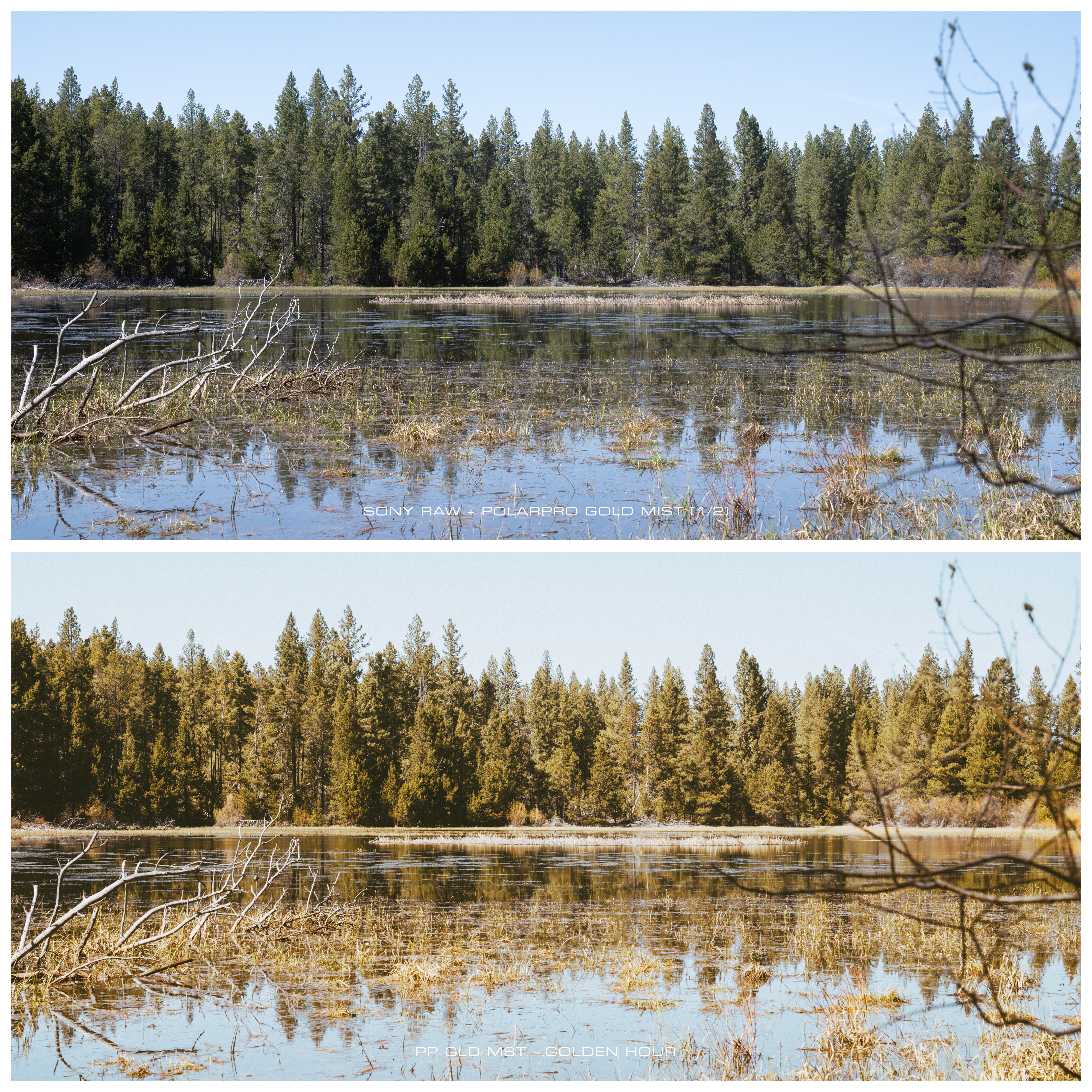 A before and after picture shows a scene with and without the editing preset applied