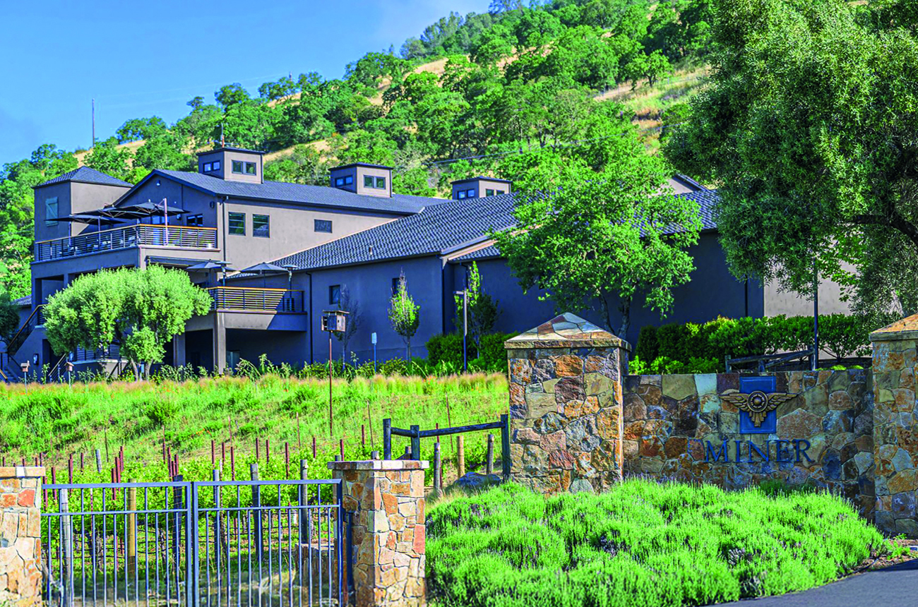 Winery and vineyard