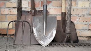A row of garden tools leaning up against a wall