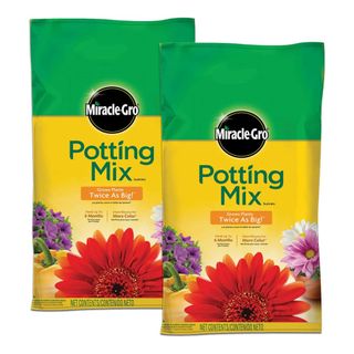 two bags of Miracle-Gro potting soil on white background