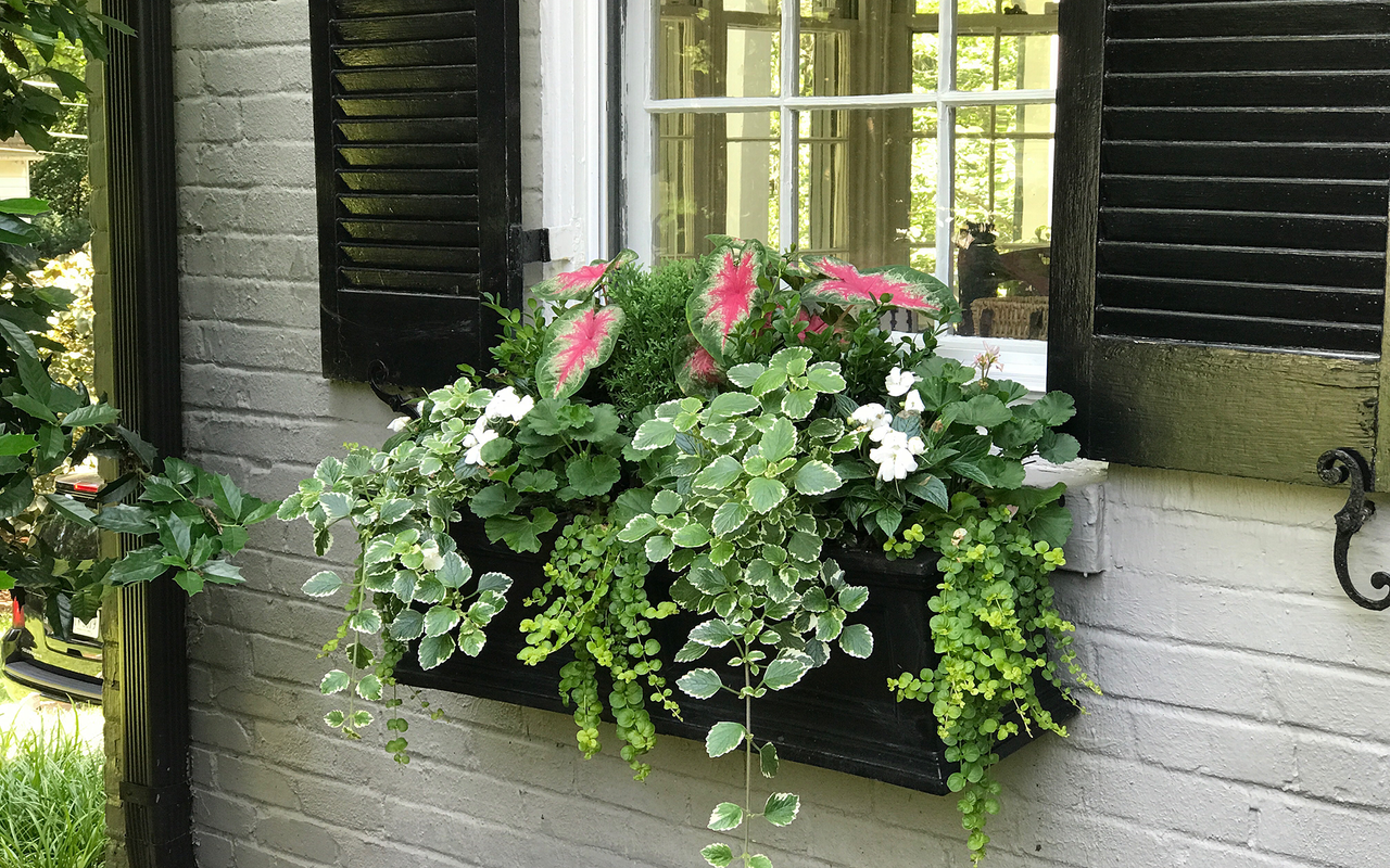 Window box ideas to boost your home's curb appeal | Livingetc