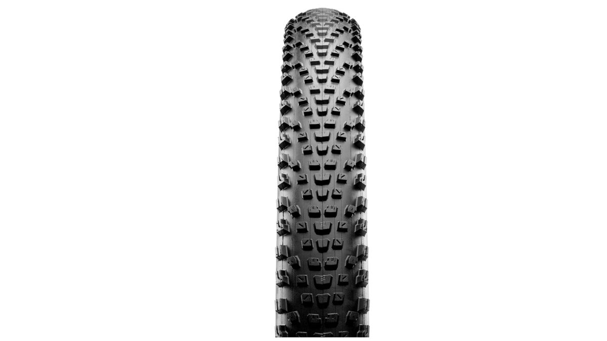 best all around maxxis mtb tire