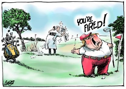 Political Cartoon U.S. Trump golfing blames club WHO on coronavirus spreading