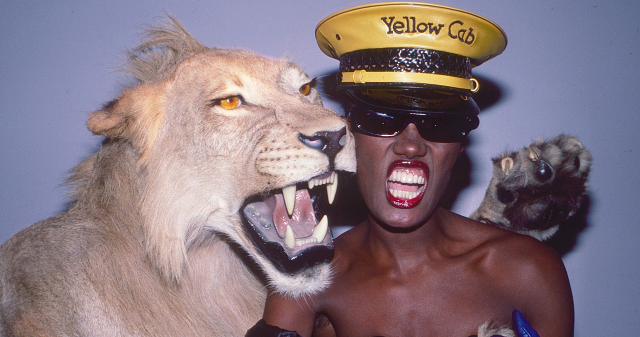 Grace Lion