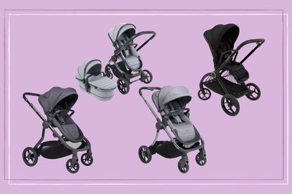 Four iCandy prams on a purple background 