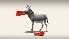 Illustration of a donkey with a boxing glove fitted over its muzzle