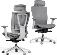 Autonomous ErgoChair Pro