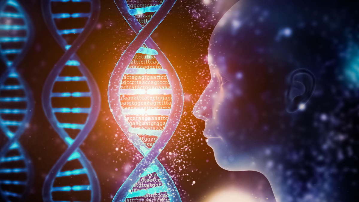 A novel genetic model suggests that the ancestors of modern humans came from two distinct populations that split and reconnected during our evolutiona