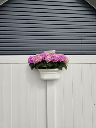 A white fence with a fence planter attached to the post with blooming flowers