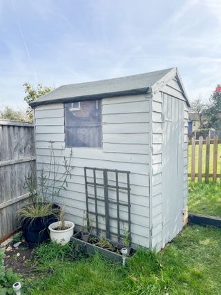 A white shed with a planter on the floor and a lattice plant climber fixed to the shed