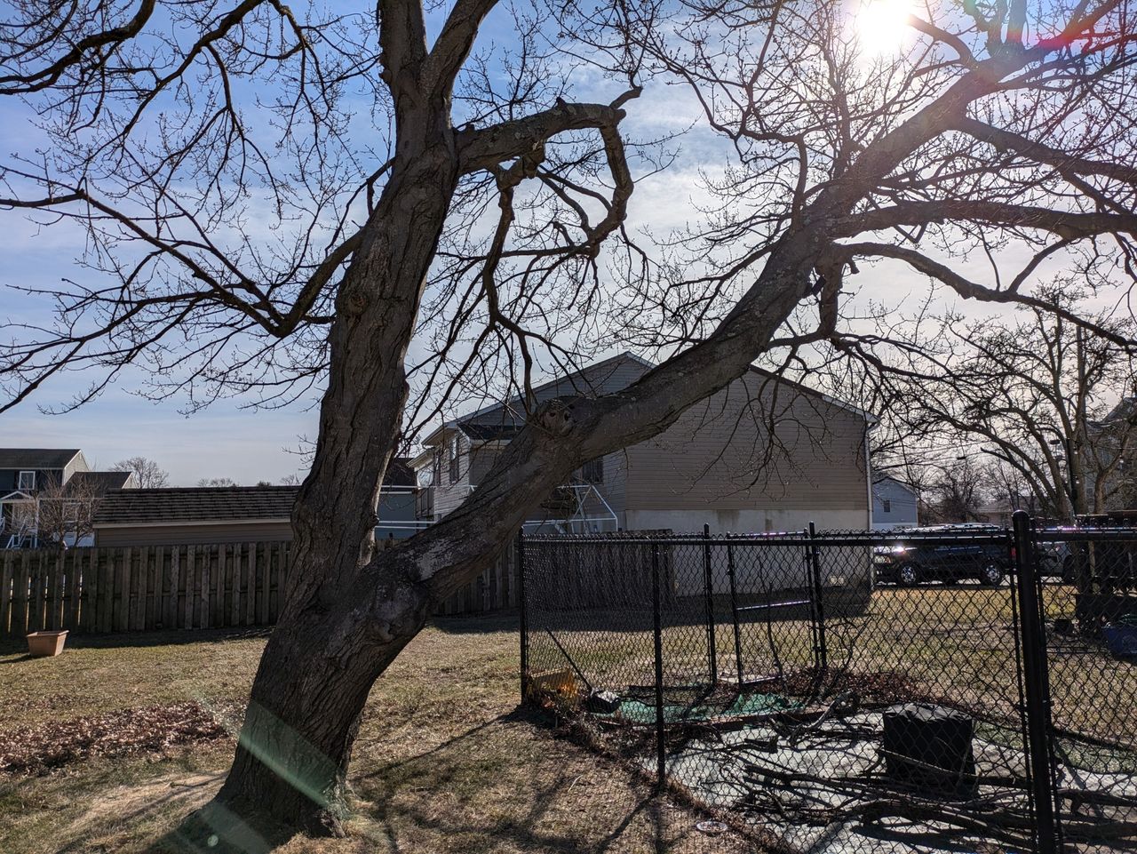 Google Pixel 8a dynamic range sample.