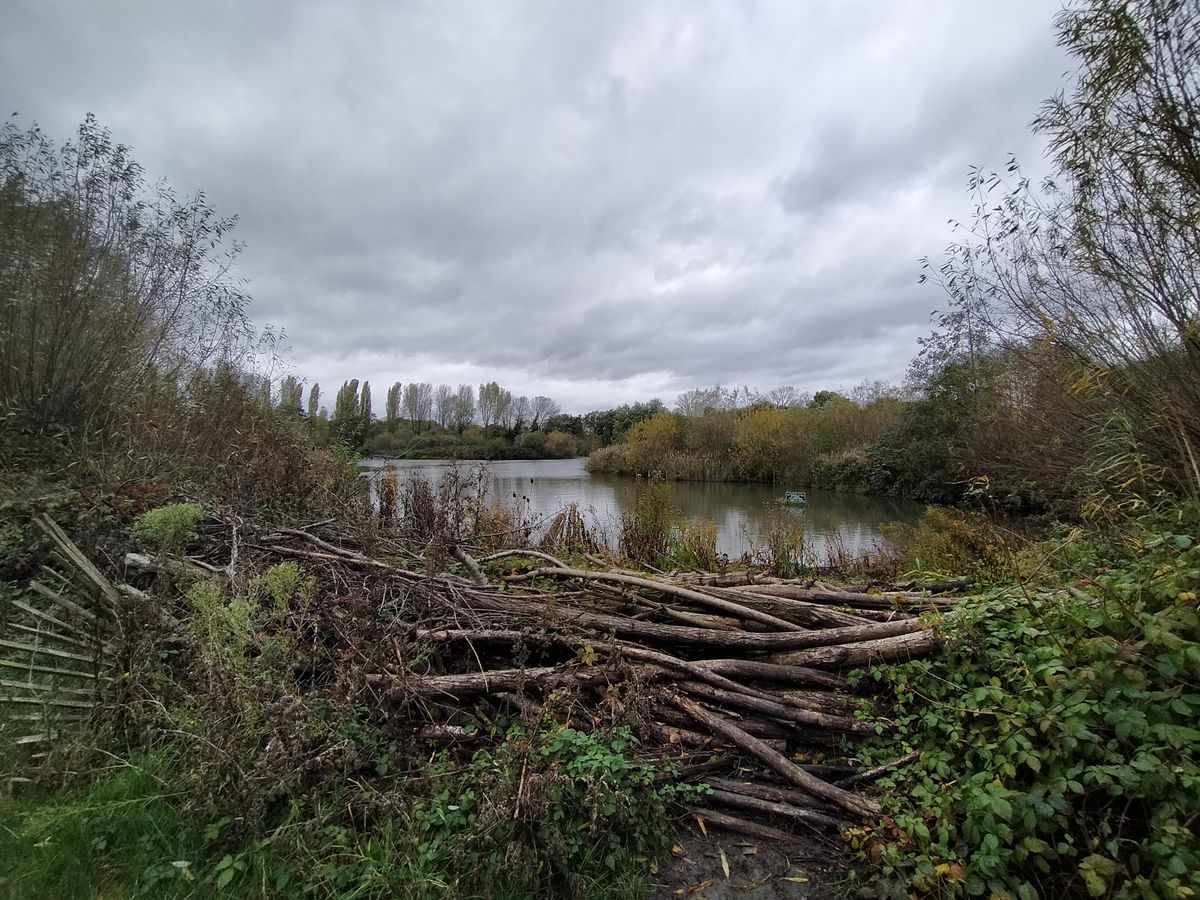 This is taken with the wide camera, which lets you fit more in an image at the cost of some detail, and a drop in sharpness at the edge of the frame.