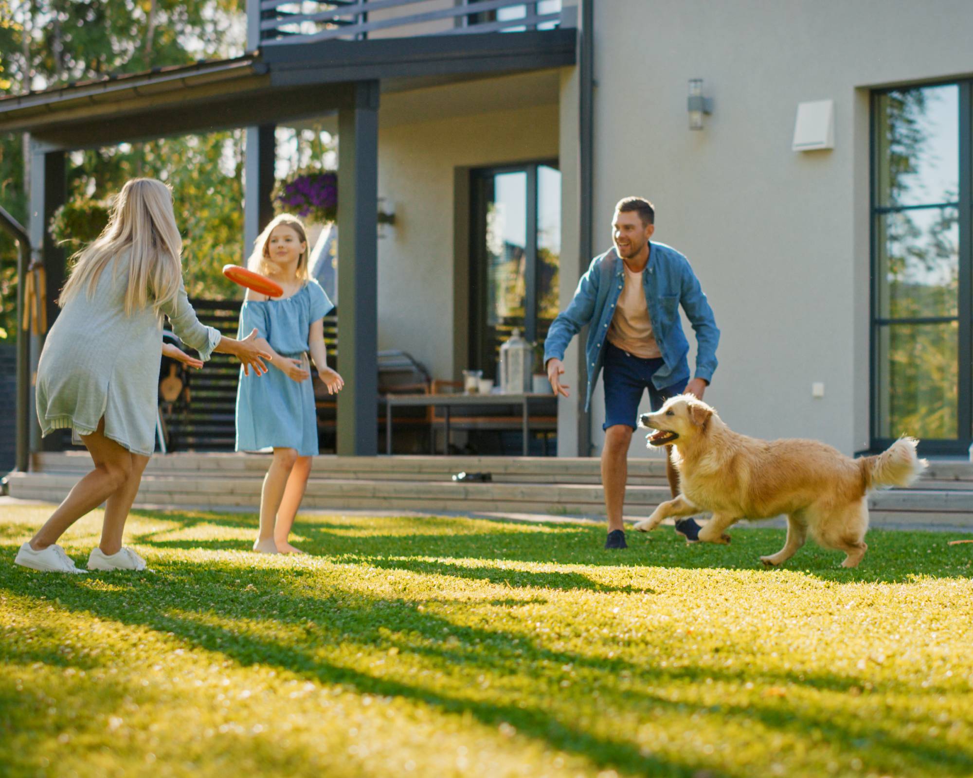 Family and dog playing frisbee on lawn