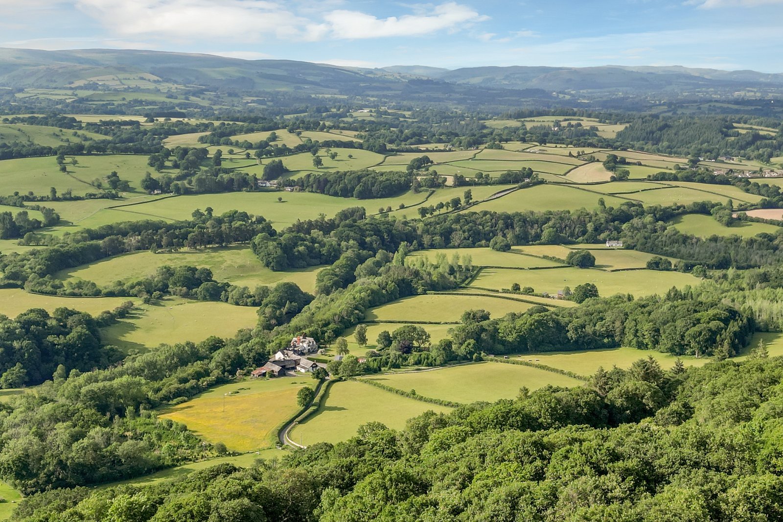 Cefnllysgwynne Estate Property for Sale